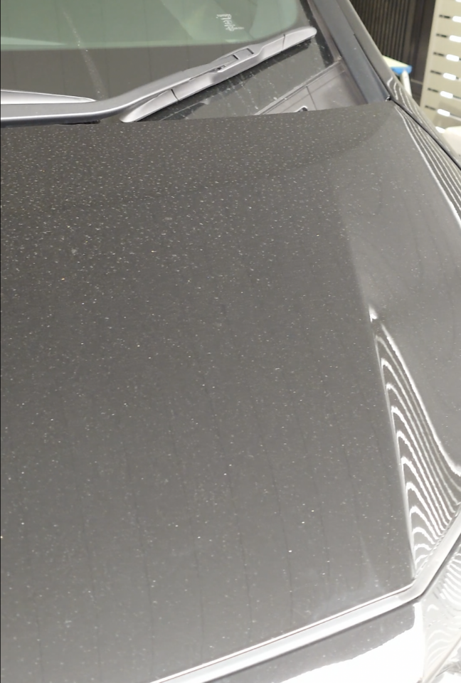 洗車前のトヨタアルファードの汚れ状態